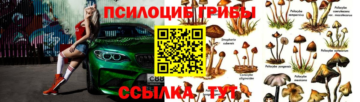 Галлюциногенные грибы ЛСД  Вход с VPN  Кингисепп 